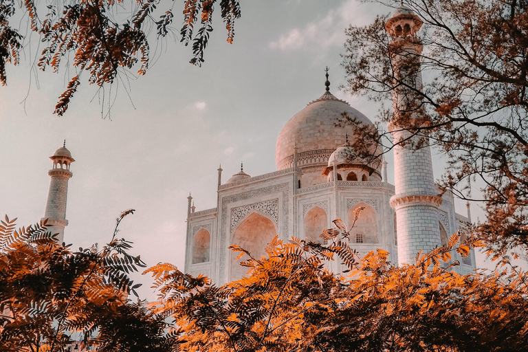 Da Delhi: escursione privata di un giorno al Taj Mahal e ad Agra con trasferimentiDa Delhi: Taj Mahal e Agra - Gita privata di un giorno con trasferimenti