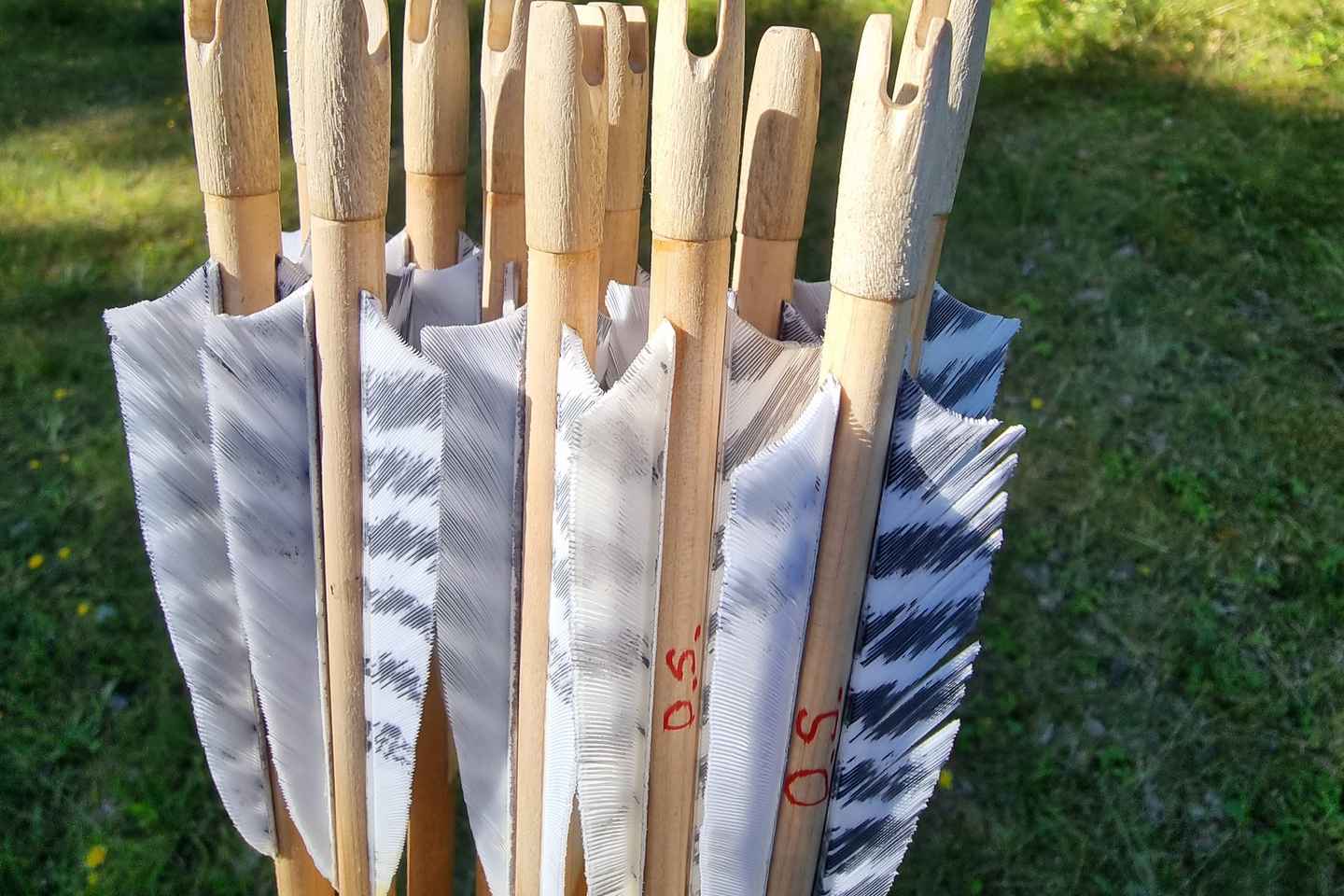 Tallinn: Beginner Archery Class with Transfer