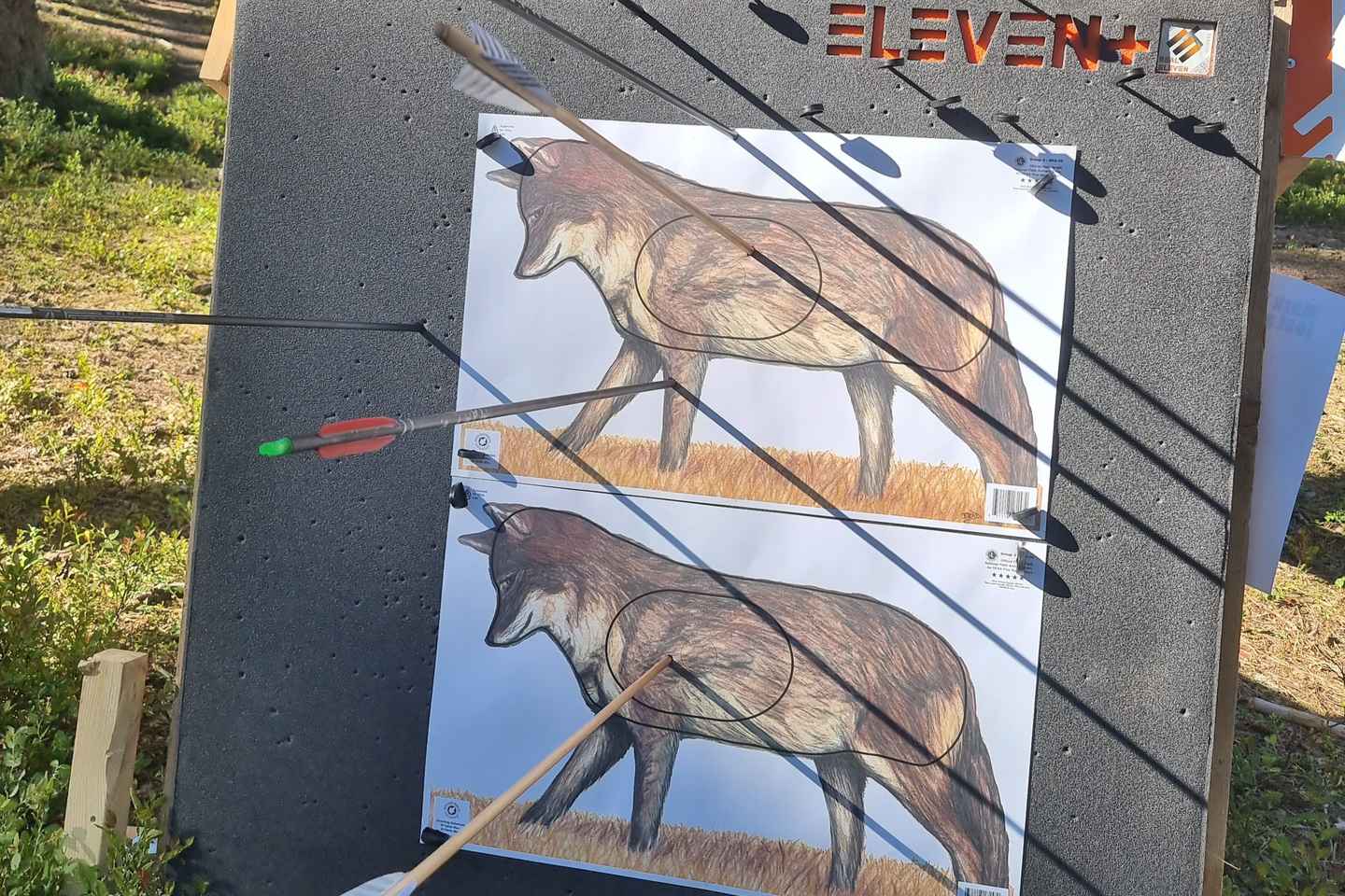 Tallinn: Beginner Archery Class with Transfer