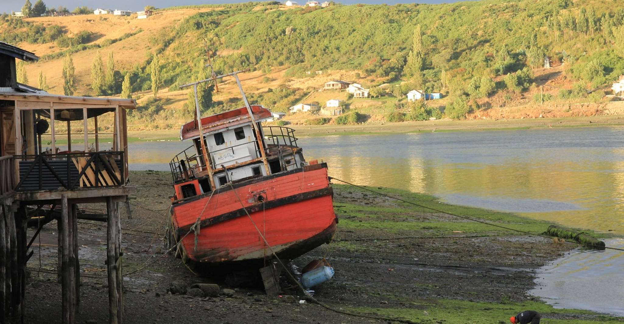 Depuis Puerto Varas, Chiloe Island Visite d'une journée complète - Hizvo