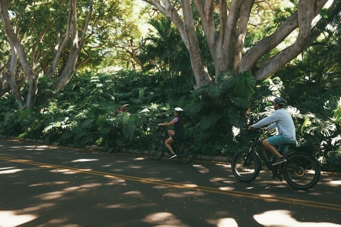 South Maui: Self-Guided E-Bike, Hike and Snorkel Excursion South Maui: Self-Guided E-Bike & Snorkel Excursion