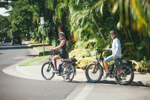 South Maui: E-rower z własnym przewodnikiem, wycieczka piesza i snorkelowaPołudniowe Maui: E-rower z własnym przewodnikiem i wycieczka z rurką