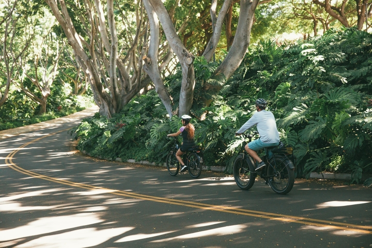 South Maui : excursion autoguidée en vélo électrique, randonnée et plongée avec tubaSouth Maui : excursion autoguidée en vélo électrique et plongée avec tuba