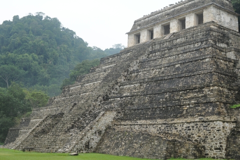 Tuxtla Gutierrez: Dagtour naar de ruïnes van Palenque met ontbijtRuïnes van Agua Azul, Misolha en Palenque - Spaanse gids