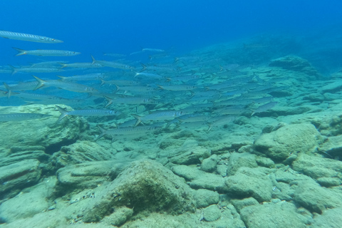 Heraklion: Beginner-Friendly Snorkeling Trip