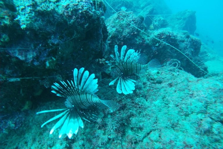 Heraklion: Beginner-Friendly Snorkeling Trip