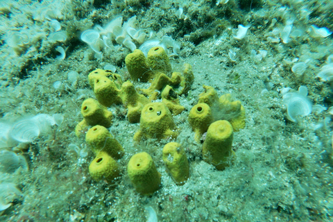 Heraklion: Beginner-Friendly Snorkeling Trip