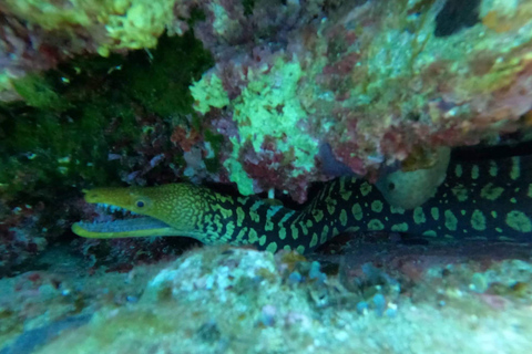 Heraklion: Beginner-Friendly Snorkeling Trip