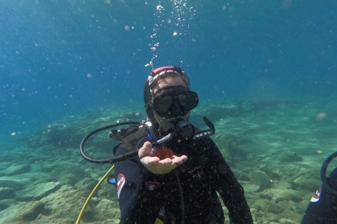 Agia Pelagia: Programa de buceo básico SSI para principiantes con 2 inmersiones