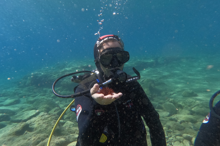 Agia Pelagia: SSI Basic Diver-programma voor beginners met 2 duiken