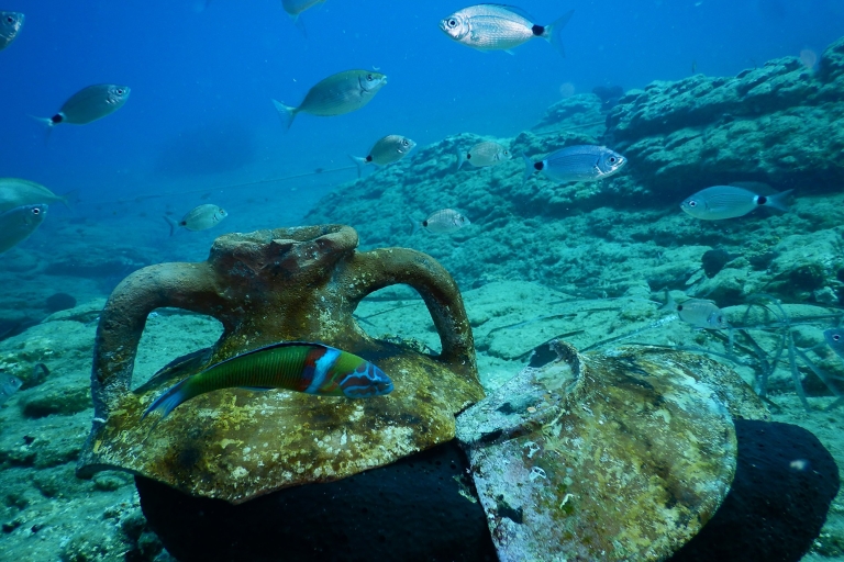 Agia Pelagia: Beginner's SSI Basic Diver Program w/2 Dives