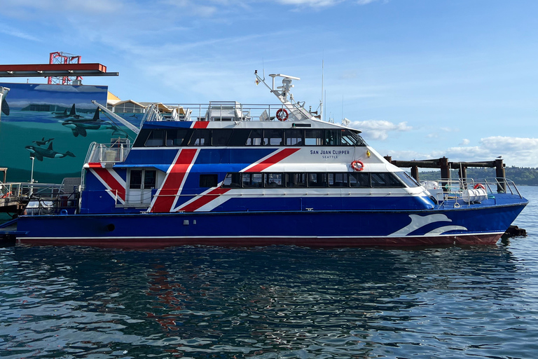 Seattle: Half-Day Wildlife and Whale Watching Cruise Standard Seating