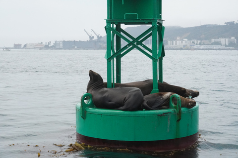 San Diego: Private Segeltour für 2 Personen mit Snacks