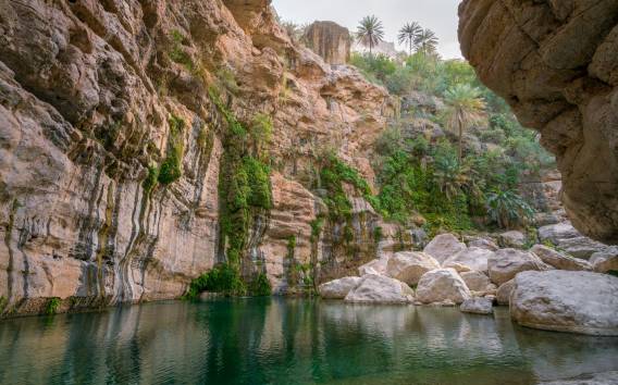 Muscat: Wadi Mibam Private Ganztagestour mit 4x4 Auto