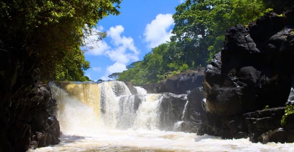 Île aux Cerfs: Full-Day Cruise with Hotel Pickup & Drop-off