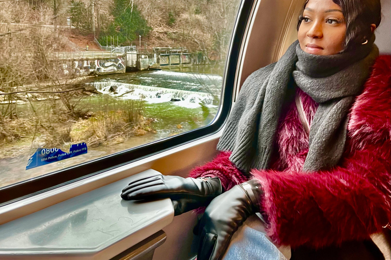 PHOTO include in Zurich walk cable car panoramic lake Zurich