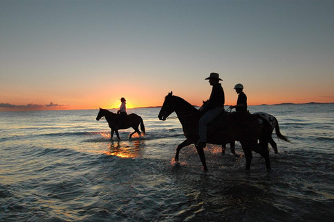 Holbox: giro guidato a cavallo sulla spiaggia