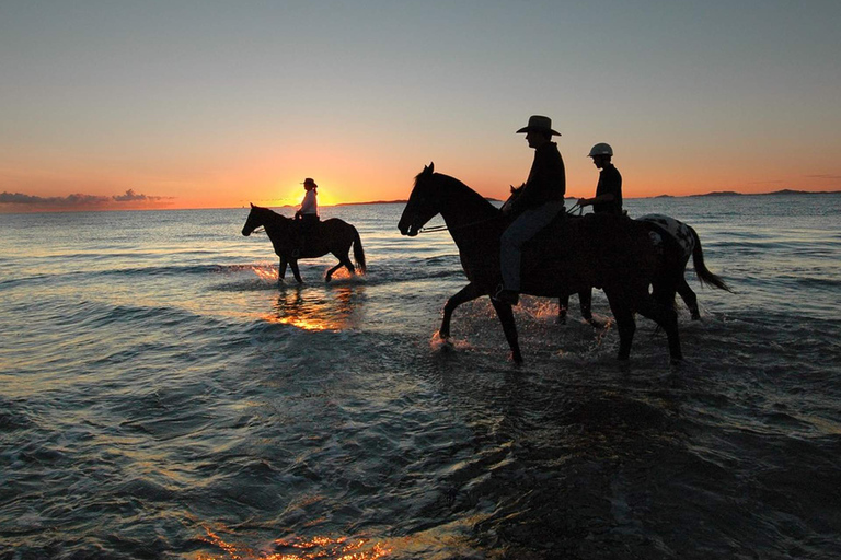 Holbox: Guided Horseback Ride on the Beach