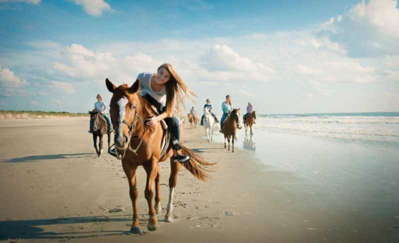 Holbox: Guided Horseback Ride on the Beach