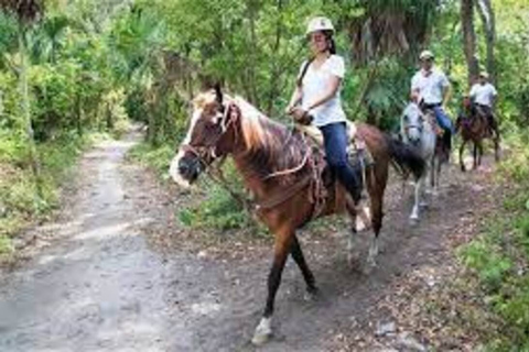 Holbox: passeio guiado a cavalo na praia