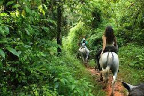 Holbox: passeio guiado a cavalo na praia