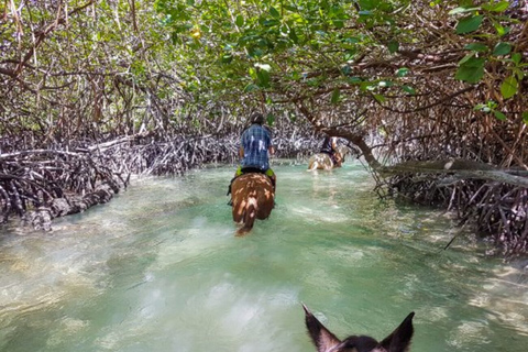 Holbox: begeleide paardrijtocht op het strand