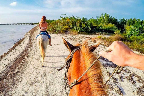 Holbox: passeio guiado a cavalo na praia