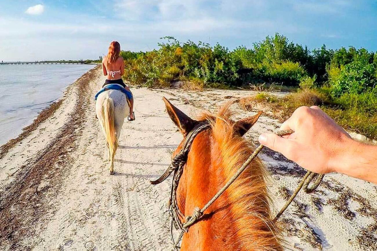 Holbox: begeleide paardrijtocht op het strand