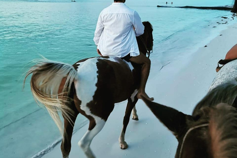 Holbox: begeleide paardrijtocht op het strand