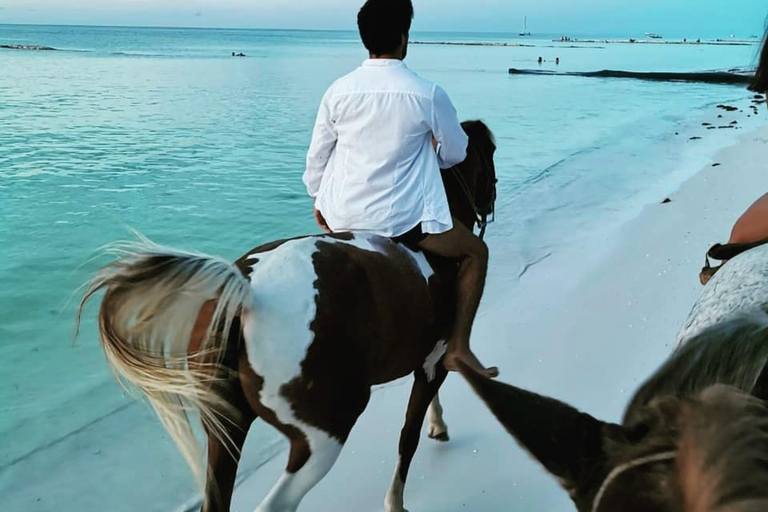 Holbox: begeleide paardrijtocht op het strand