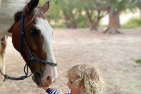 Holbox: Guided Horseback Ride on the Beach