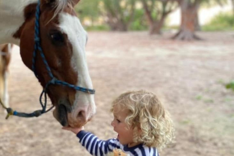 Holbox: Guided Horseback Ride on the Beach