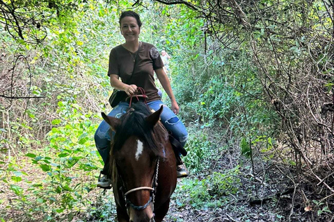 Holbox: passeio guiado a cavalo na praia