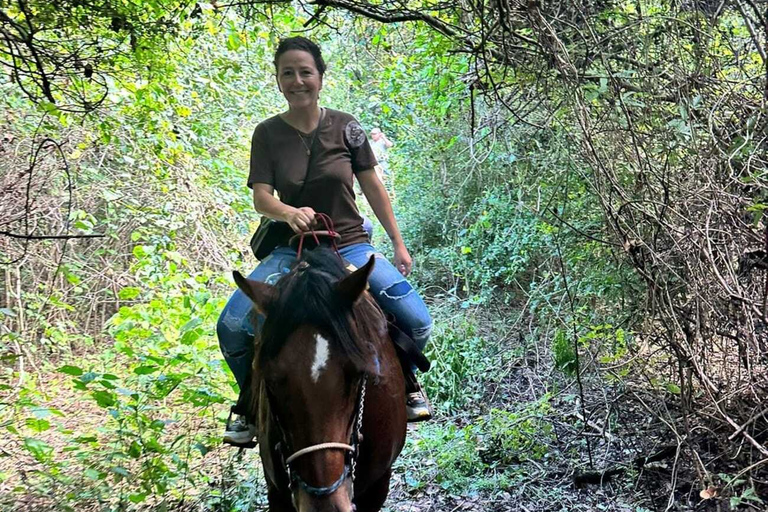 Holbox: passeio guiado a cavalo na praia