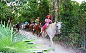 Tulum: Horseback Riding in the Jungle w/ Transfers and Lunch