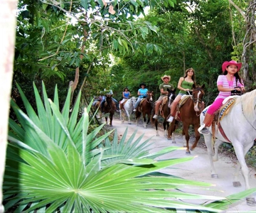 Tulum: Horseback Riding in the Jungle w/ Transfers and Lunch