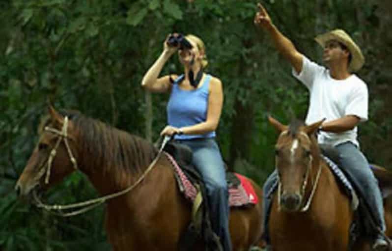 Tulum Horseback Riding in the Jungle w/ Transfers and Lunch GetYourGuide