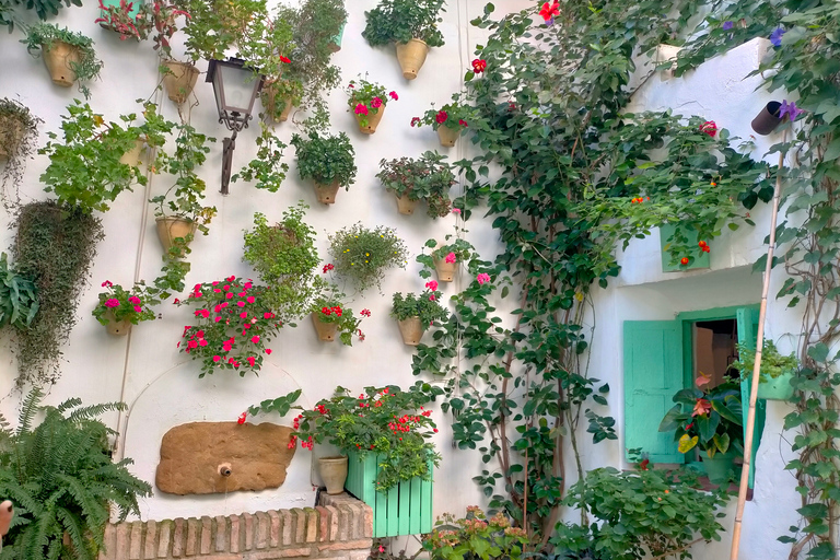 Cordoba Courtyards by Bike, Electric Bike Bike Tour