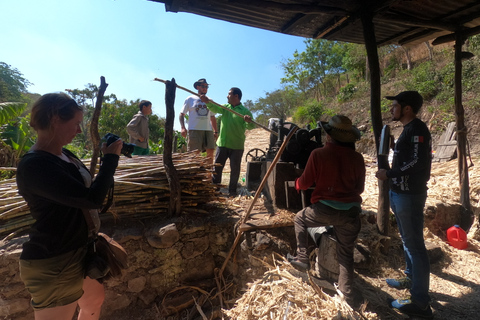 Tzimol, Chiapas: Town Tour, Sugarcane Factory, Magic ForestTour by Tuk-Tuk