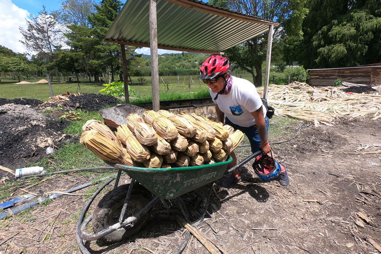 Tzimol, Chiapas: Town Tour, Sugarcane Factory, Magic ForestTour by Tuk-Tuk