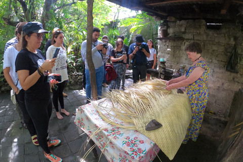 Tzimol, Chiapas: Town Tour, Sugarcane Factory, Magic ForestTour by Tuk-Tuk