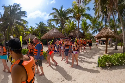 Riviera Maya : Tortues en apnée et grotte Cenote