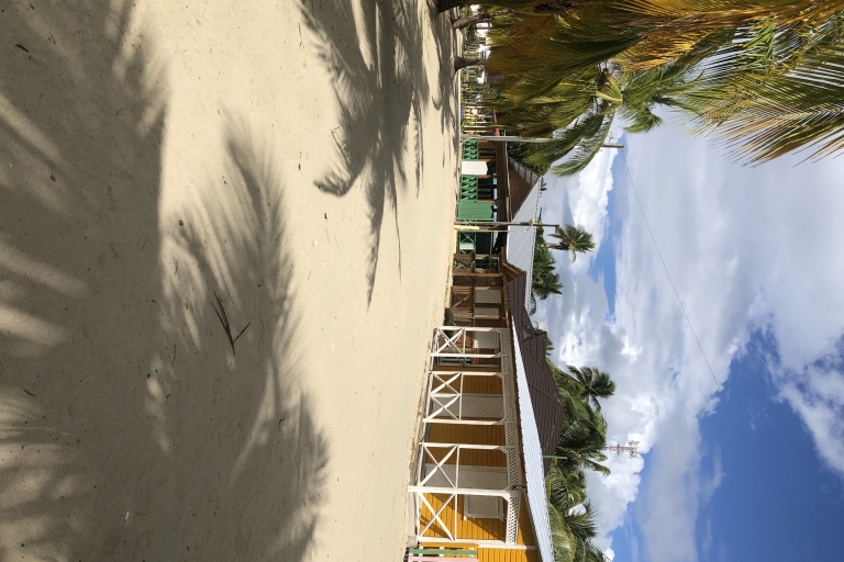 Von Punta Cana aus: Saona, Canto de la Playa, Mano Juan VillageAb Dominicus: Cotubanama/Saona: Katamaran-Tour