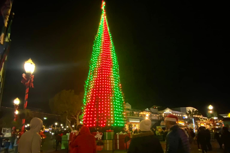 San Francisco: Excursión privada en jeep de las luces navideñas