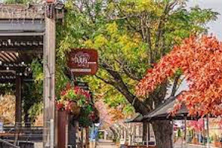 Adelaide: attrazioni della città e tour di Hahndorf con prelievo