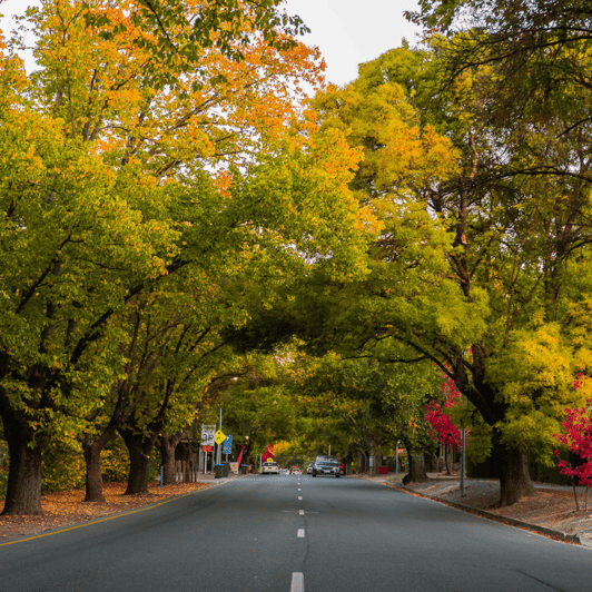 Adelaide City Highlights and Hahndorf Tour with Pickup GetYourGuide