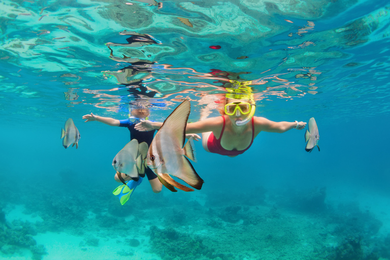 Phuket: Excursión de un día a las Similan en lancha rápidaExcursión de un día sin traslado