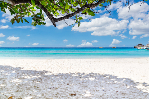 Phuket: Similan-dagtocht per speedbootDagtrip zonder transfer