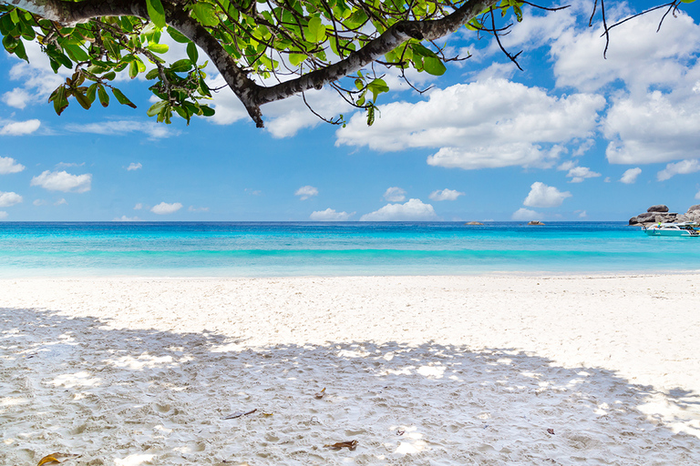 Phuket: Similan-dagtocht per speedbootDagtrip zonder transfer