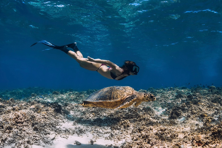 Phuket : Excursion d&#039;une journée aux Similan en bateau à moteurExcursion d&#039;une journée avec transfert